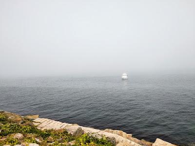 Niebla en agosto + Feria + Gema