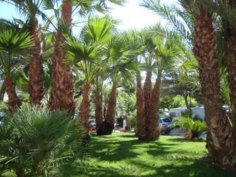 Listado mejores campings para ir en familia. Nuestra experiencia y valoración de cada uno