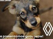 Renault guau ¡wow!, campaña favor copilotos cuatro patas