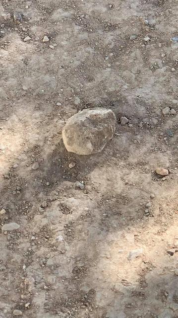 Dietario 178 Dietario 178