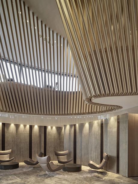 El universo exponencial de One Plus Partnership 02A