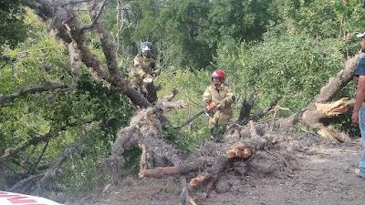 TEXCOCO SE DECLARA EN ALERTA ANTE IMPACTO DE HURACÁN GRACE EN LA REGIÓN