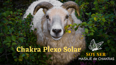 El Carnero, animal de poder del Chakra Plexo Solar