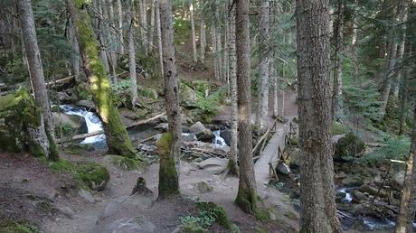 Mata de València d'Àneu