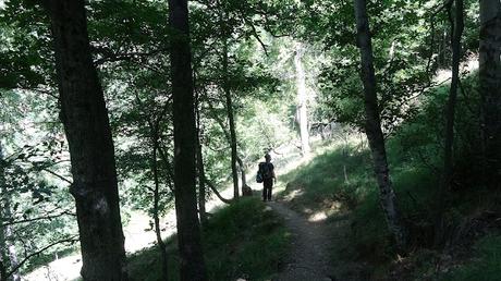 Camino al camping de Graus Camino al camping de Graus