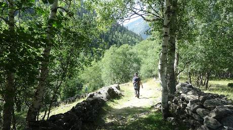 Camino a la Cascada de Noarre Camino a la Cascada de Noarre