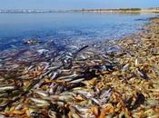 aquellos polvos, estos lodos