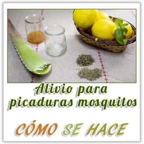 ALIVIA LAS PICADURAS DE LOS MOSQUITOS CON REMEDIOS CASEROS REMEDIOS PARA LAS PICADURAS DE MOSQUITOS