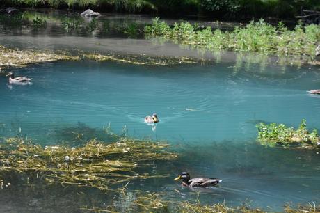 Nacimiento del Río Ebro Nacimiento del Río Ebro
