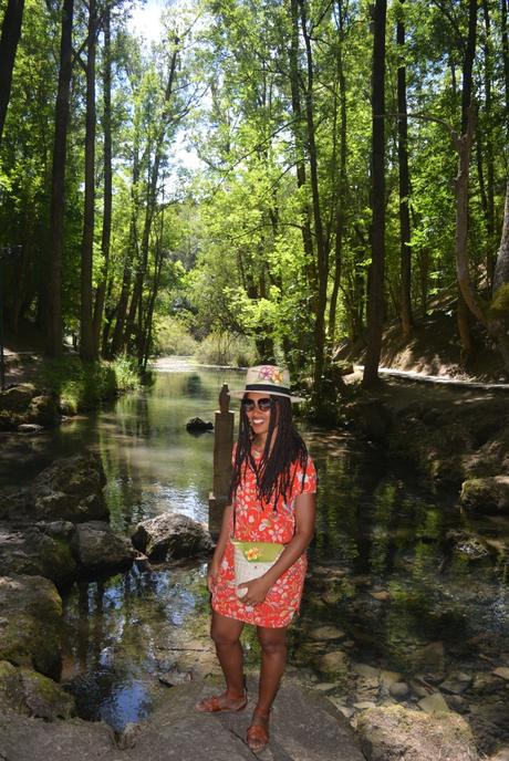 Nacimiento del Río Ebro Nacimiento del Río Ebro