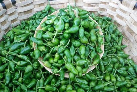 La traducción viral de un restaurante con los pimientos de padrón deja atónito a todo el mundo