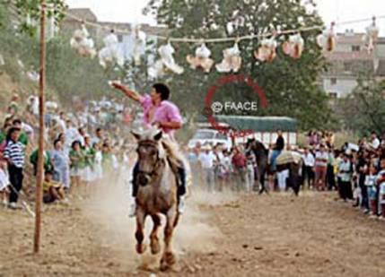 «La cultura de un pueblo se mide por el modo de tratar a los animales» (Gandhi)