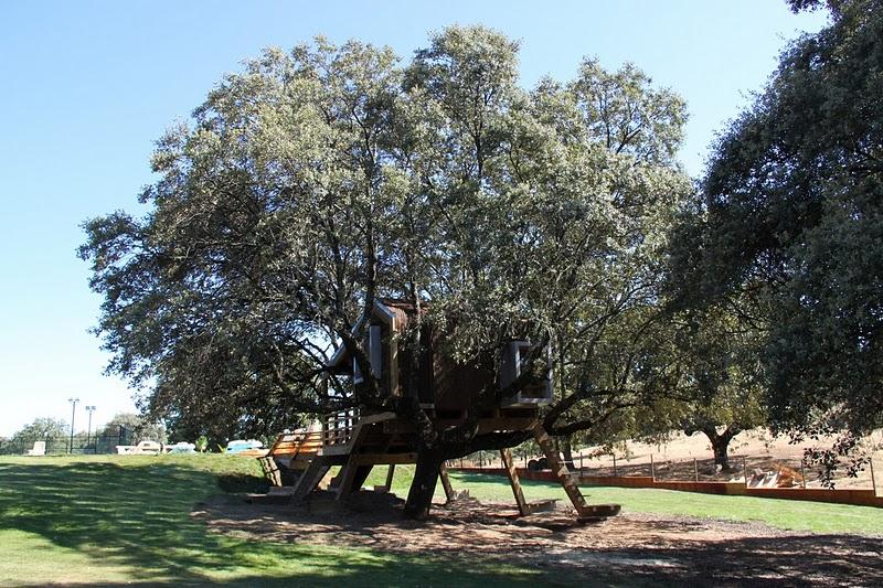 La casaen el árbol enraizada.