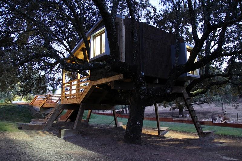 La casa en el árbol enraizada.