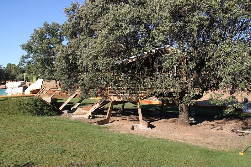 La casa en el árbol enraizada.