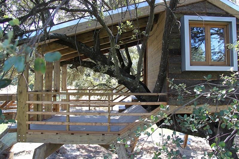 La casa en el árbol enraizada.