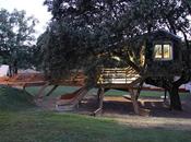 casa árbol enraizada. Rooted treehouse.