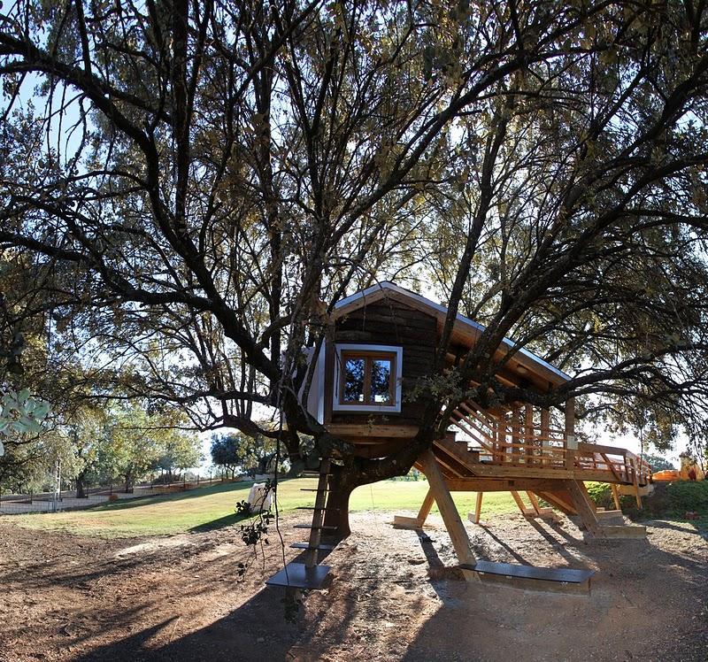 La casa en el árbol enraizada.