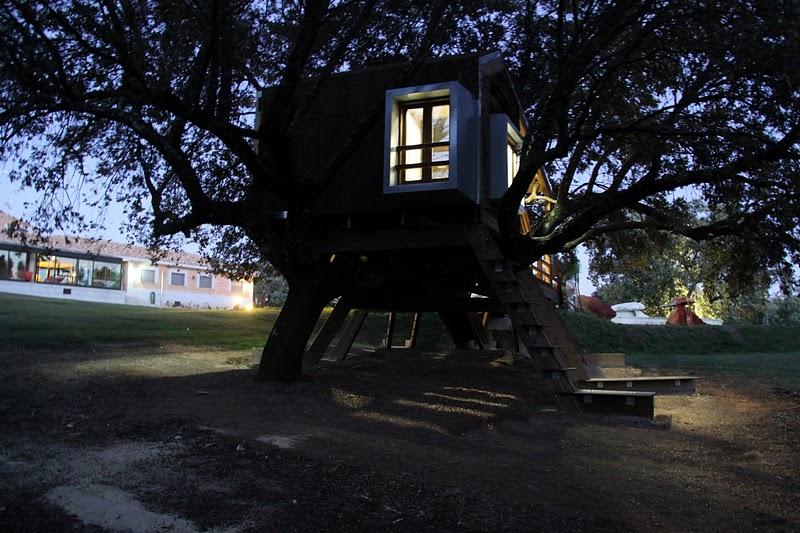 La casa en el árbol enraizada.