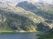 ecologismo izquierdas? viceversa)