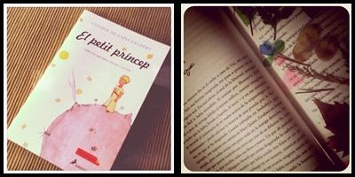 Mi veranito dsd el iPhone