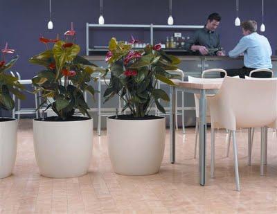 Temperatura y Humedad en plantas de interior