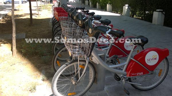 CAMBIA LA CESTA DE LA BICI POR CAJA DE BOTELLINES