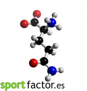 Todo sobre la glutamina