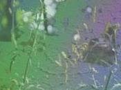 Mark McGuire Lost (eMego,2011)