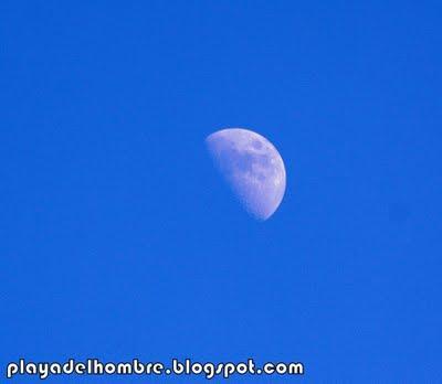 GARY  Y  BENTOR...BENTOR  Y  GARY