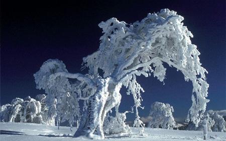 ¿Por qué la nieve es blanca?