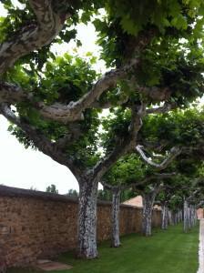 ¿QUÉ HARÍAIS SI VUESTRA EMPRESA OS DIJESE QUE DEBÉIS CERRAR VUESTRO BLOG PARA EVITAROS PROBLEMAS?