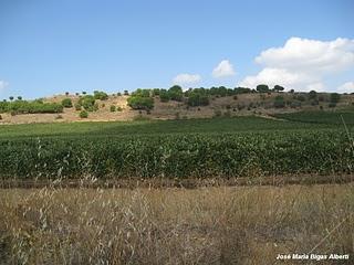 Parada en Rueda y visita a Toro