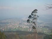 Jornadas calamar potera Arena (Asturias)