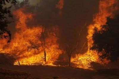 Dos muertos y cientos de casas quemadas en  incendio en Texas
