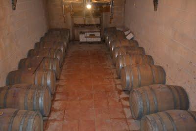 MARENAS, VIÑEDO Y BODEGA ( Montilla - Córdoba )