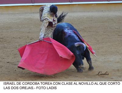 FERIA TAURINA DE PRIEGO: UNA TERNA VOLUNTARIOSA NO PUEDE CON UN ENCIERRO BRAVO Y NOBLE