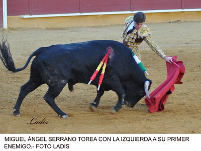 FERIA TAURINA DE PRIEGO: UNA TERNA VOLUNTARIOSA NO PUEDE CON UN ENCIERRO BRAVO Y NOBLE