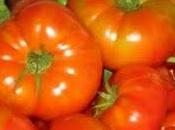 Tomates ancestrales