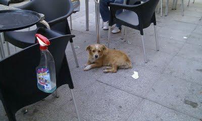COJO Y ABANDONADO EN MEDIO DE LA NADA.