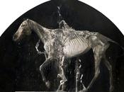 Nicola Samorì Pinturas