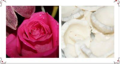 Crema pastelera de coco