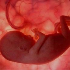 El aborto y las 10 falacias del mundo conservador