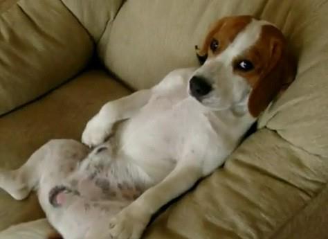 A la atención de las visitas