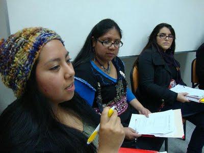 Estudiantes mapuches exigen derechos educativos