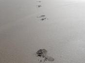 Sobre playa desierta