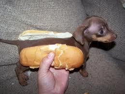 El origen de los hot dogs