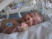 bebés sienten dolor semanas embarazo