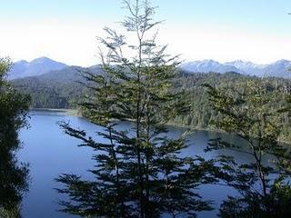 Aparece el pariente perdido de la cerveza Lager