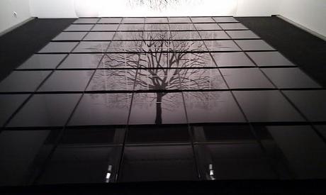 Futur Variable en El Bòlit Futur Variable en El Bòlit